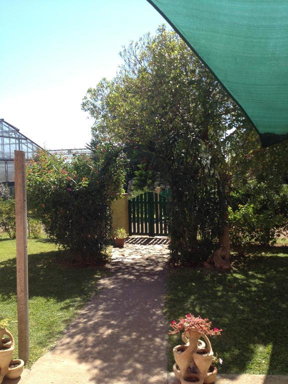 La Contea Acomodação com café da manhã SantʼAnna Arresi Exterior foto