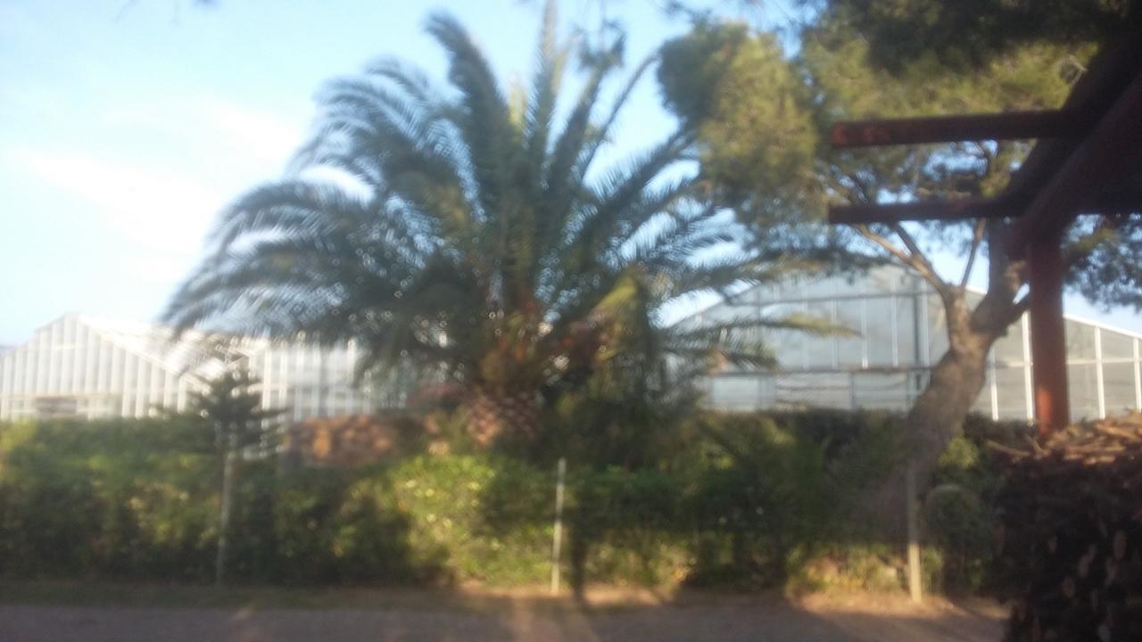 La Contea Acomodação com café da manhã SantʼAnna Arresi Exterior foto